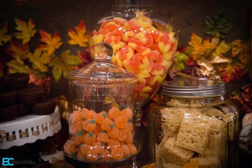 12143160_10153798652038474_3228529310435146401_n[1]